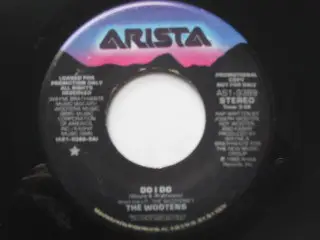 The Wootens - Do I Do