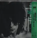 LP - The Waterboys - A Pagan Place - OBI/Insert