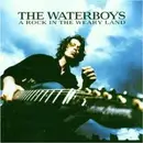 CD - the Waterboys - A Rock in the Weary Land