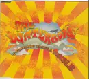 CD Single - The Waterboys - Everybody Takes A Tumble