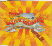 CD Single - The Waterboys - Everybody Takes A Tumble