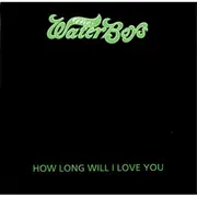 12inch Vinyl Single - The Waterboys - How Long Will I Love You