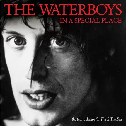 The Waterboys - In A Special Place