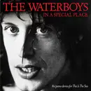 CD - The Waterboys - In A Special Place