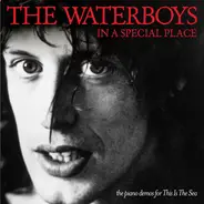 The Waterboys - In A Special Place