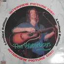 Picture LP - The Waterboys - Limited Edition Interview Picture Disc