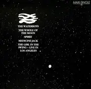12inch Vinyl Single - The Waterboys - The Whole Of The Moon