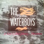 The Waterboys - A Girl Called Johnny