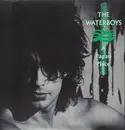 LP - The Waterboys - A Pagan Place