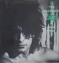 LP - The Waterboys - A Pagan Place