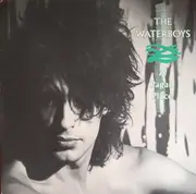 LP - The Waterboys - A Pagan Place - EMI Records Pressing