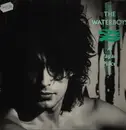 LP - The Waterboys - A Pagan Place