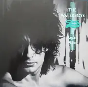 LP - The Waterboys - A Pagan Place