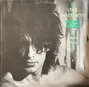 LP - The Waterboys - A Pagan Place