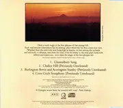 CD Single - The Waterboys - Glastonbury Song