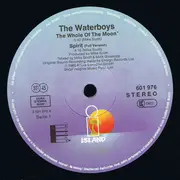 12inch Vinyl Single - The Waterboys - The Whole Of The Moon