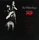 LP - The Waterboys - The Best Of The Waterboys '81 - '90