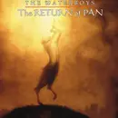 CD Single - The Waterboys - The Return Of Pan