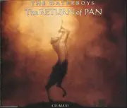 CD Single - The Waterboys - The Return Of Pan