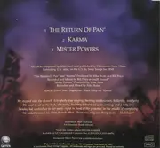 CD Single - The Waterboys - The Return Of Pan