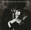 CD - The Waterboys - This Is The Sea