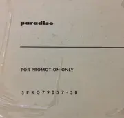 12inch Vinyl Single - The Way Moves - Favor & Disgrace Ep - Promo / still sealed