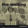 CD - The Waiting - Blue Belly Sky