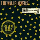 CD - The Wallflowers - Bringing Down The Horse