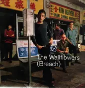 The Wallflowers