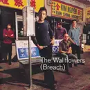 Double CD - The Wallflowers - (Breach)