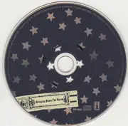 CD - The Wallflowers - Bringing Down The Horse