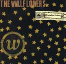 CD - The Wallflowers - Bringing Down The Horse