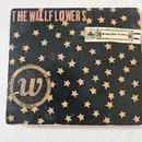 CD - The Wallflowers - Bringing Down The Horse