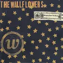 CD - The Wallflowers - Bringing Down The Horse