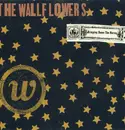 CD - The Wallflowers - Bringing Down The Horse
