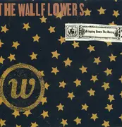CD - The Wallflowers - Bringing Down The Horse