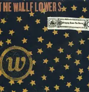 The Wallflowers - Bringing Down the Horse