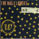 CD - The Wallflowers - Bringing Down The Horse