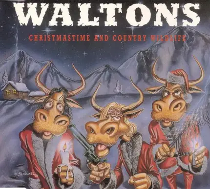The Waltons - Christmastime And Country Wildlife