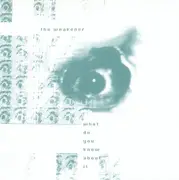 CD - The Weakener - What Do You Know About It