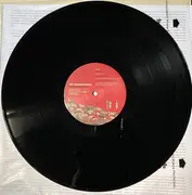 LP - The Weakerthans - Reconstruction Site