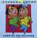 12inch Vinyl Single - The Weather Girls - Land Of The Believer