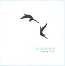 CD - The White Birch - Come Up For Air