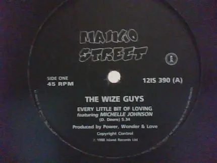 The Wize Guys Featuring Michelle Johnson - Every Bit Of Loving