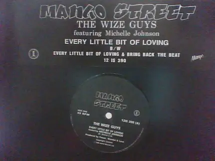 The Wize Guys Featuring Michelle Johnson - Every Bit Of Loving
