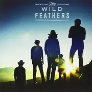 7inch Vinyl Single - Wild Feathers - Got It Wrong/Marie
