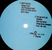 LP - The Wild Flowers - The Joy Of It All