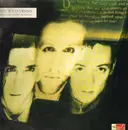 LP - The Wild Swans - Bringing Home The Ashes