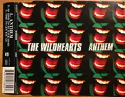 Wild Hearts - Anthem