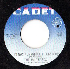 The Wildweeds - It Was Fun (While It Lasted) / Sorrow's Anthem